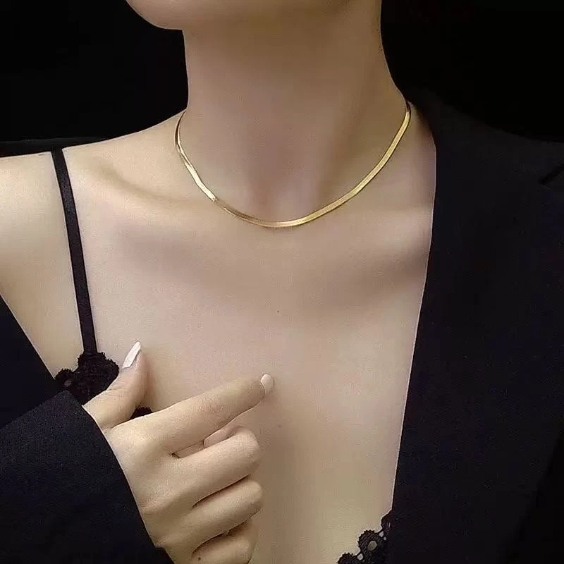 钛钢项链 欧美ins风蛇骨链女锁骨链不褪色可叠戴素链轻奢小众颈链