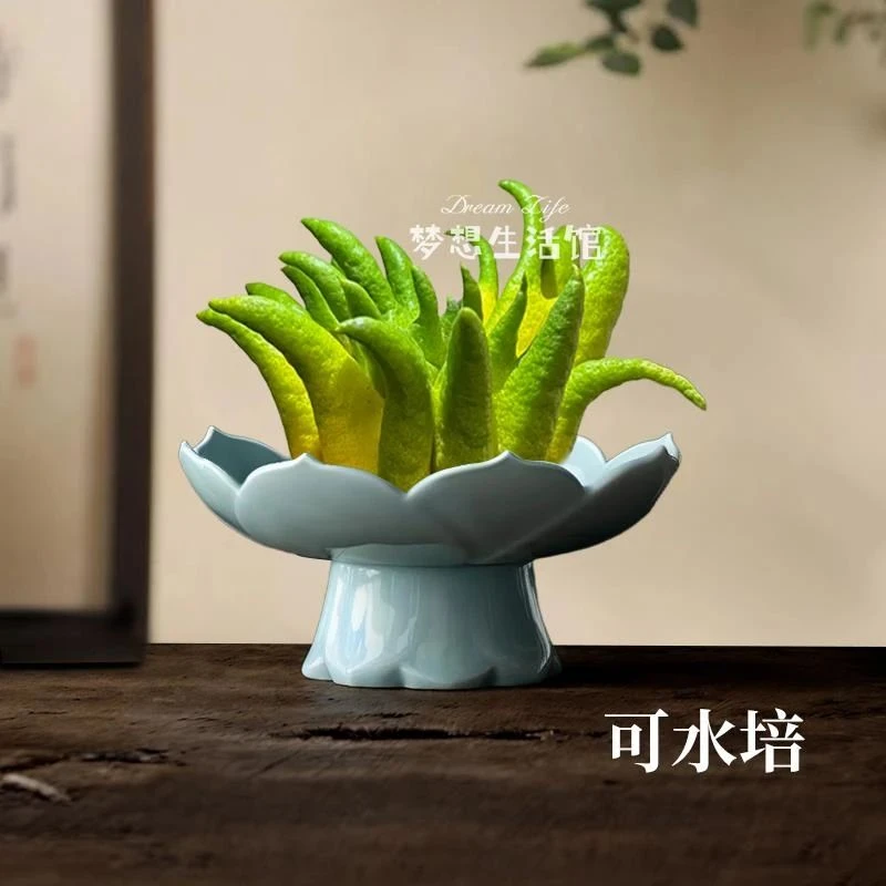 CW佛手柑托盘器皿陶瓷水培摆放佛手禅意风中式古风花器托盆花瓶摆