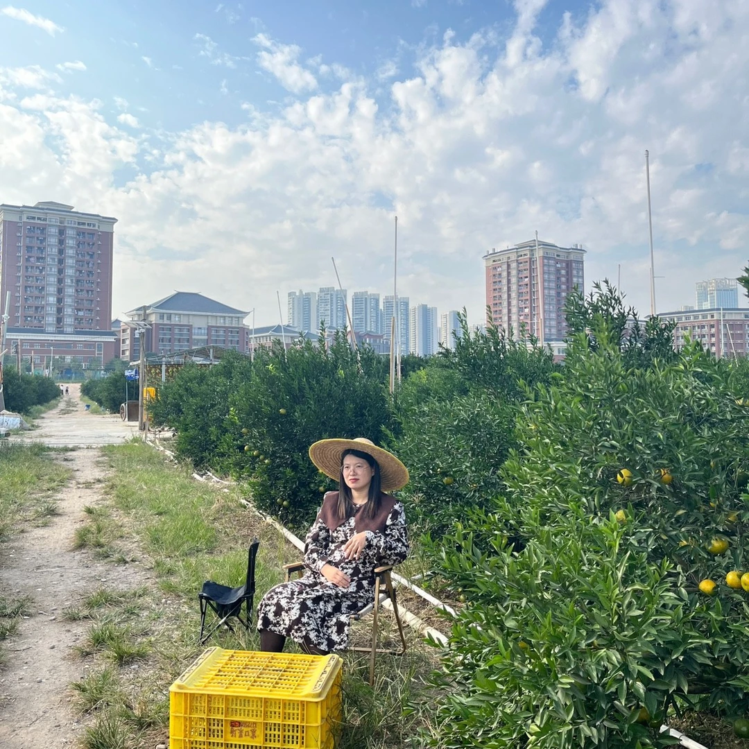 一粒柑2024年梅江塞口 原枝冬后大红新会陈皮