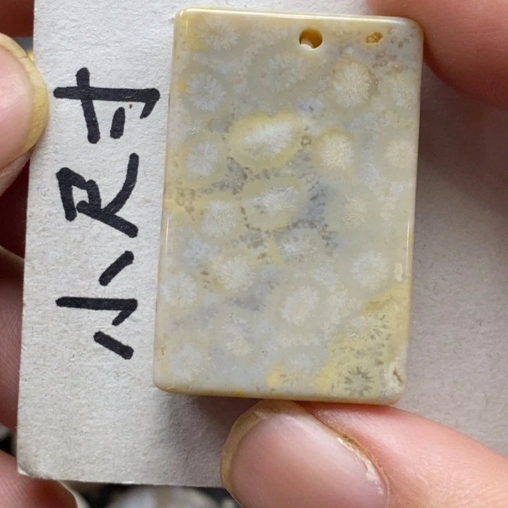 硅化珊瑚（珊瑚玉）未镶嵌颈饰