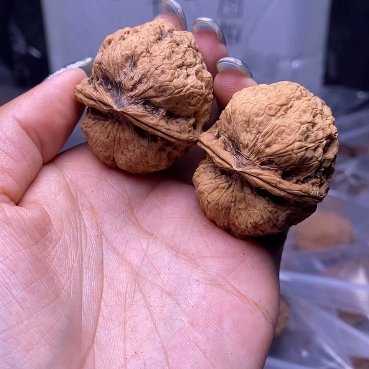 把件文玩核桃云南野生铁核桃44号41mm