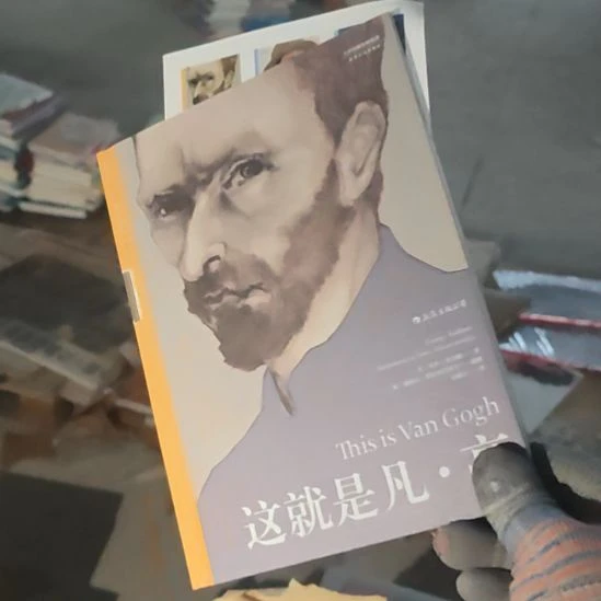 这就是梵高精装塑封，全新的梵高。