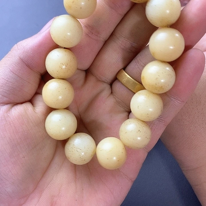 大果紫檀（缅甸花梨）1169