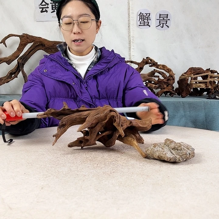 沉木造景爬宠造景