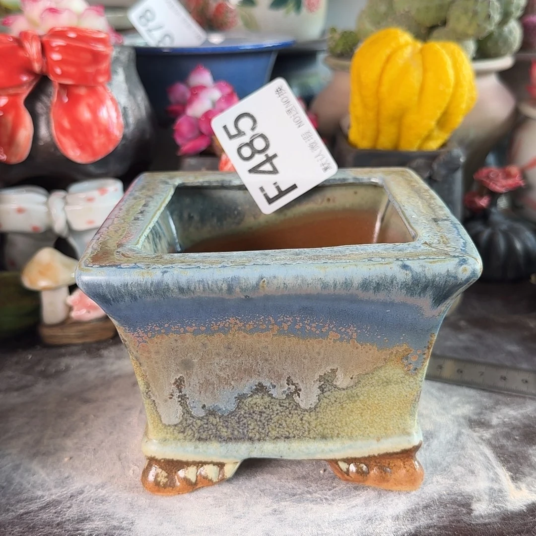 重庆小燕子欢迎大家485
