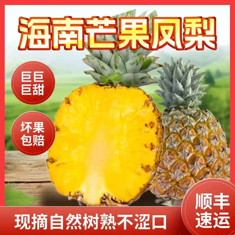 【海南芒果凤梨】当季新鲜采摘自然成熟香甜多汁超甜顺丰速运当日发