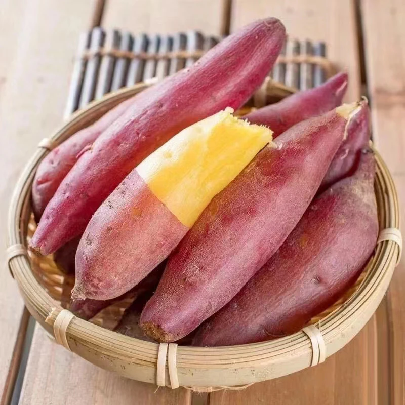 陕西板栗薯5斤/9斤红皮红薯粉糯糖心番薯蜜薯地瓜