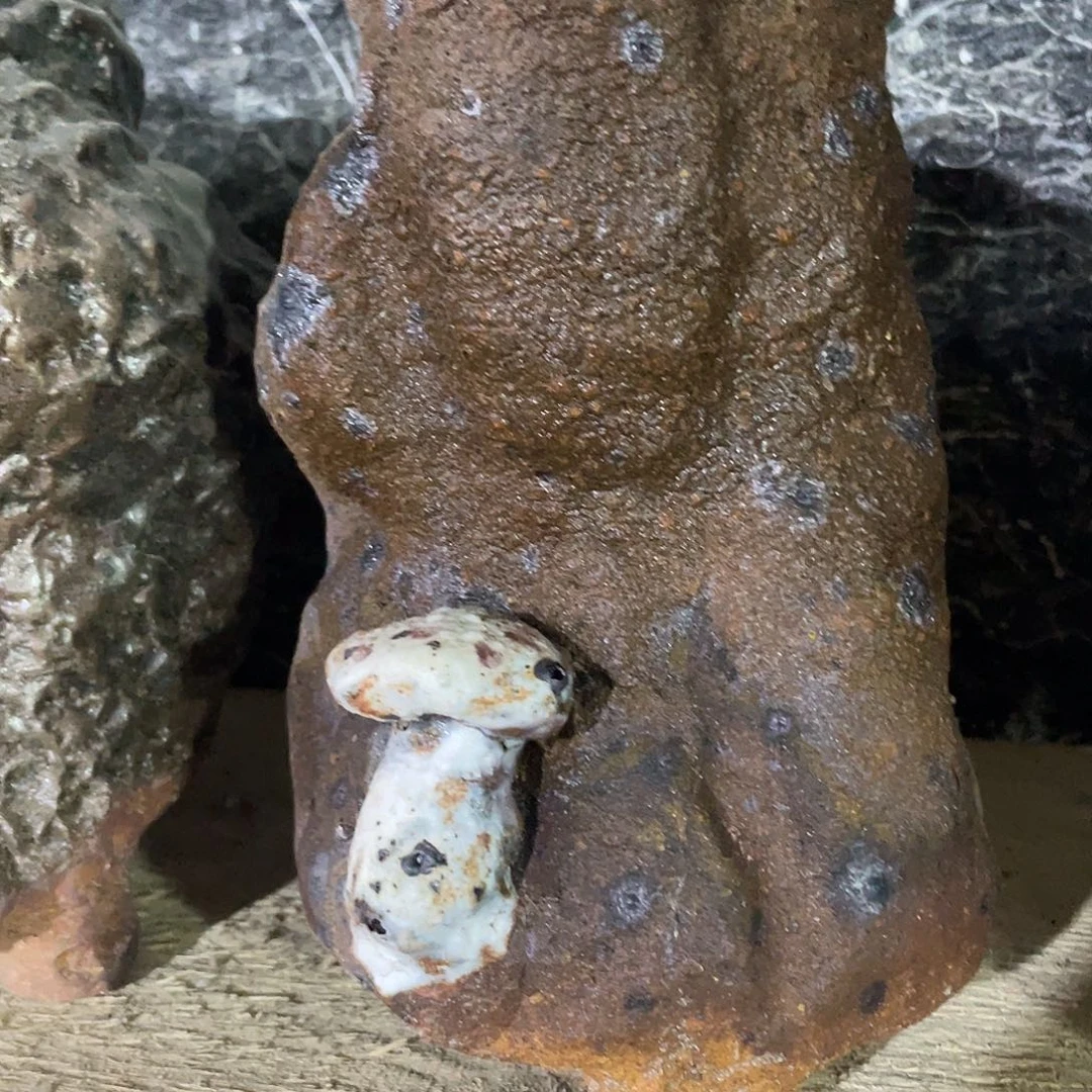 酸***枣特价福利手工粗陶盆