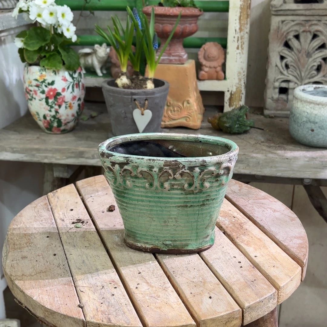 许纯的花房绿色椭圆