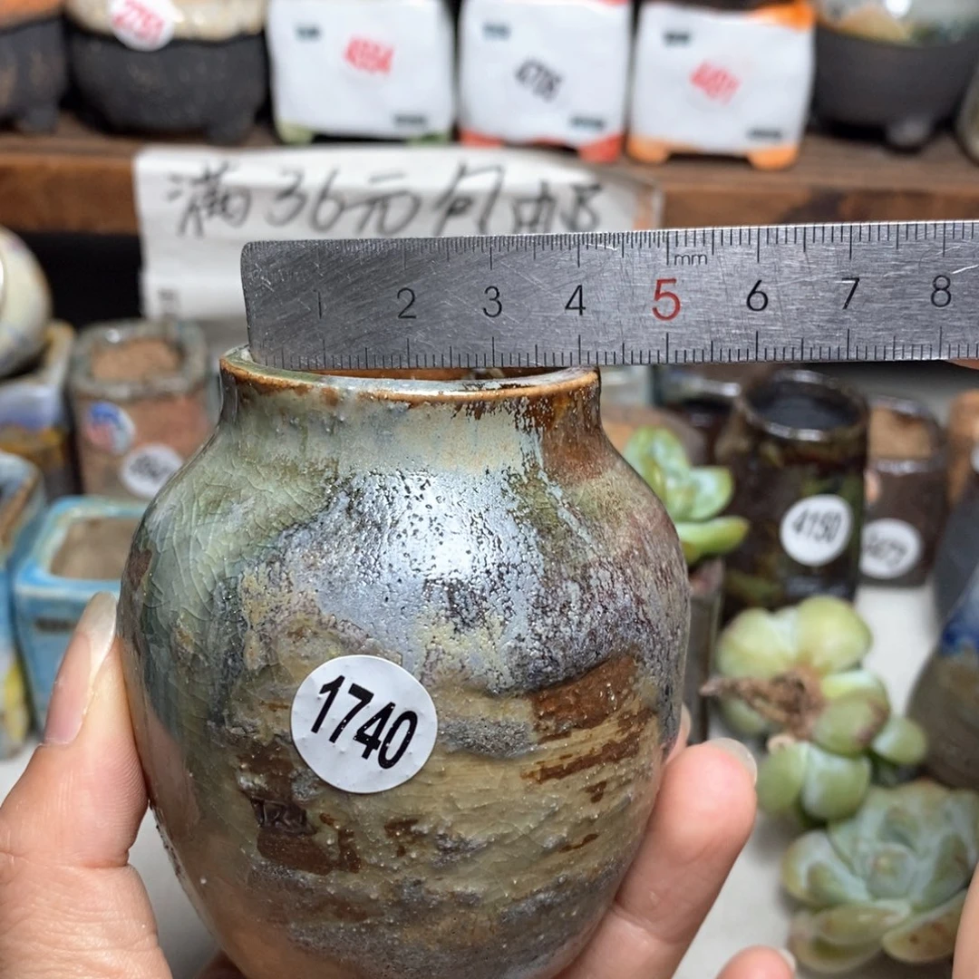 拍5送一个小礼物