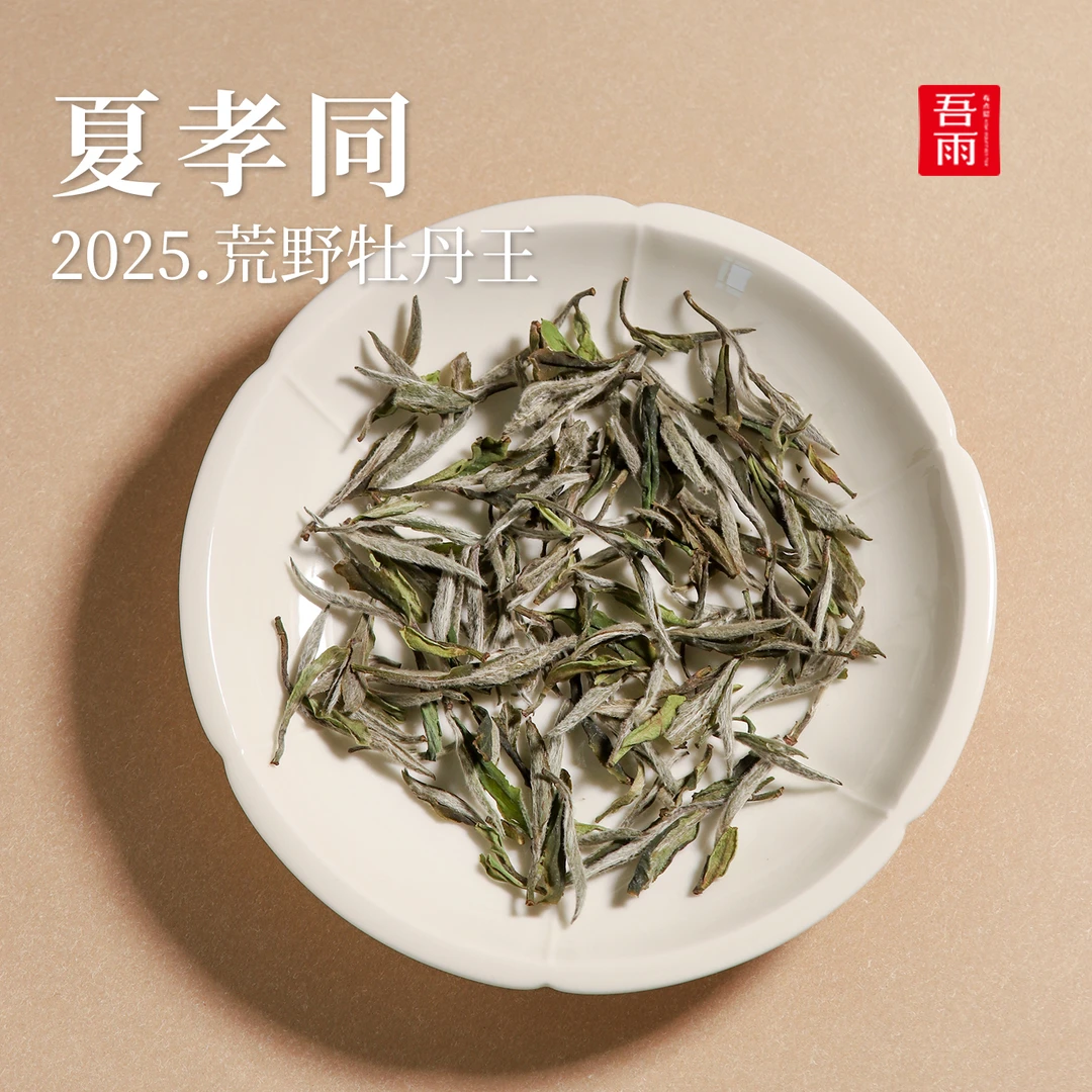 【12月12日】 夏孝同手作·2025年老树牡丹王 喝完明白工艺真牛