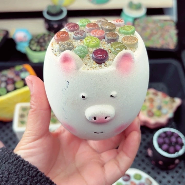 621零下地区记得拍保温箱