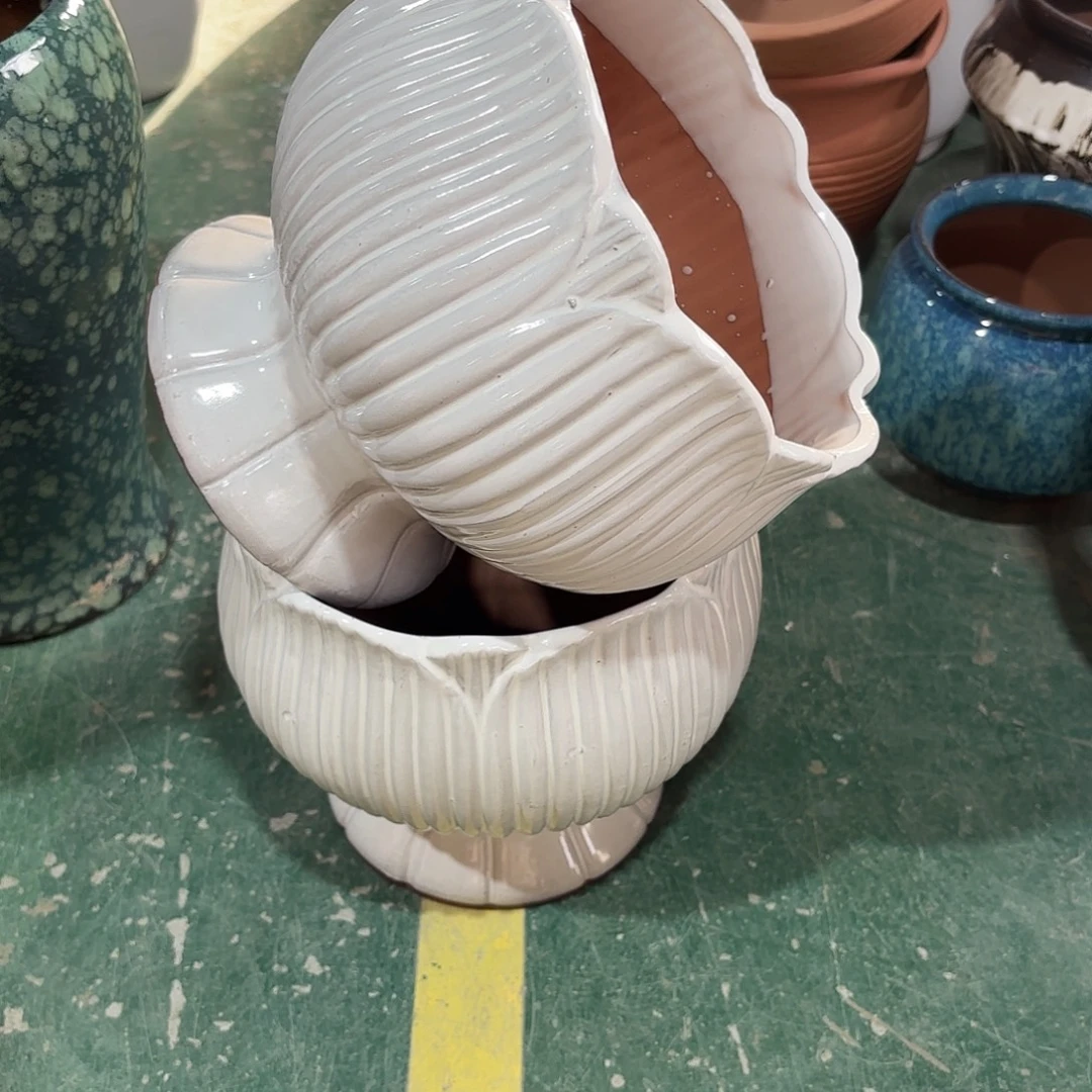 20/21红陶正品两个
