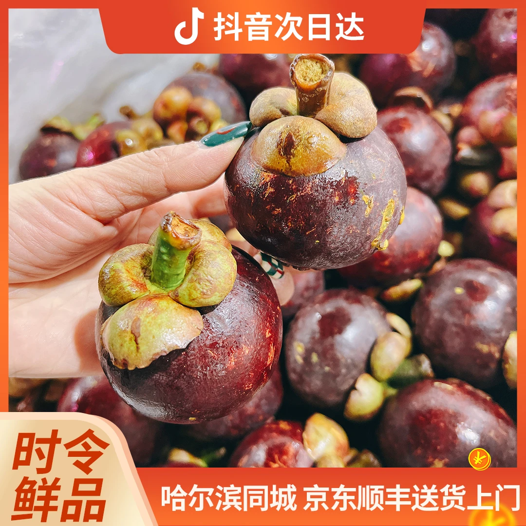 空运4A山竹 2.8斤/箱