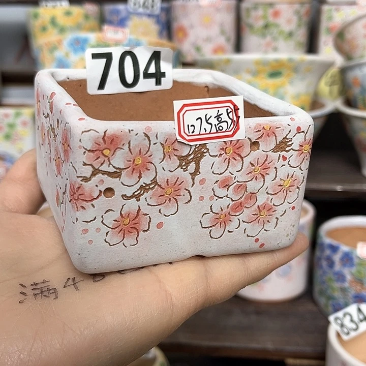 红陶满48包邮多肉花盆