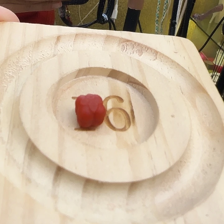 南红玛瑙合金颈饰南红小柿子