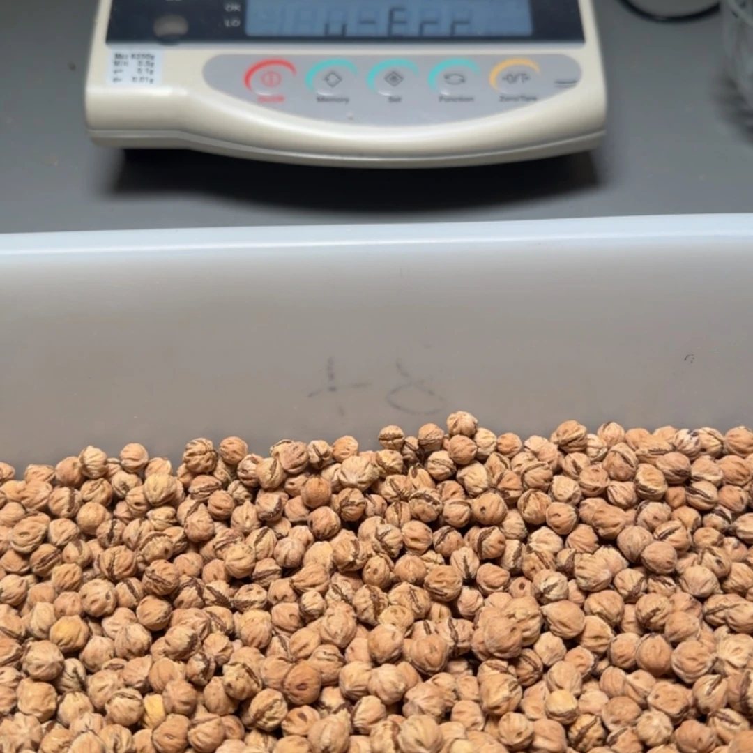 柏香籽/百香籽吊坠