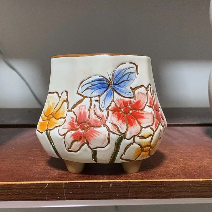 韩式多肉植物花盆