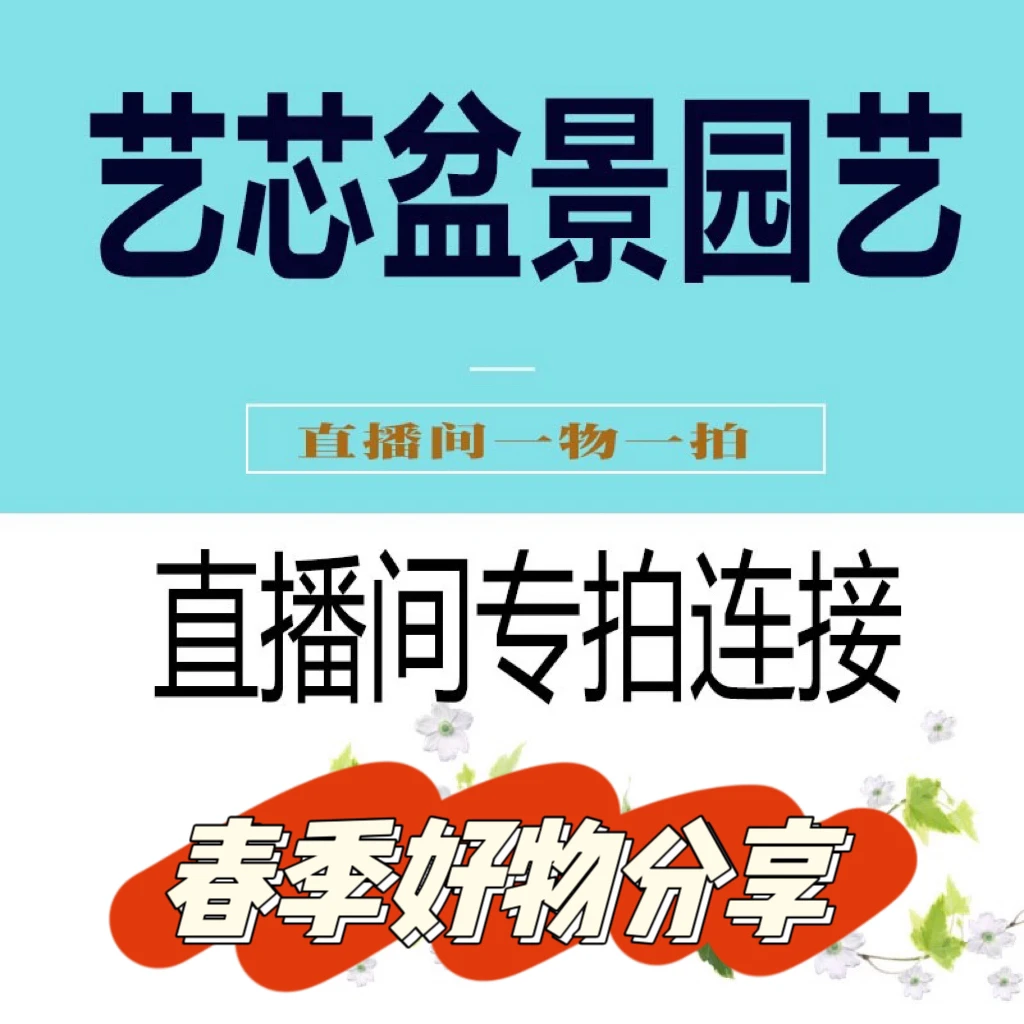 各种梅花海棠耐寒植物盆景链接一物一拍