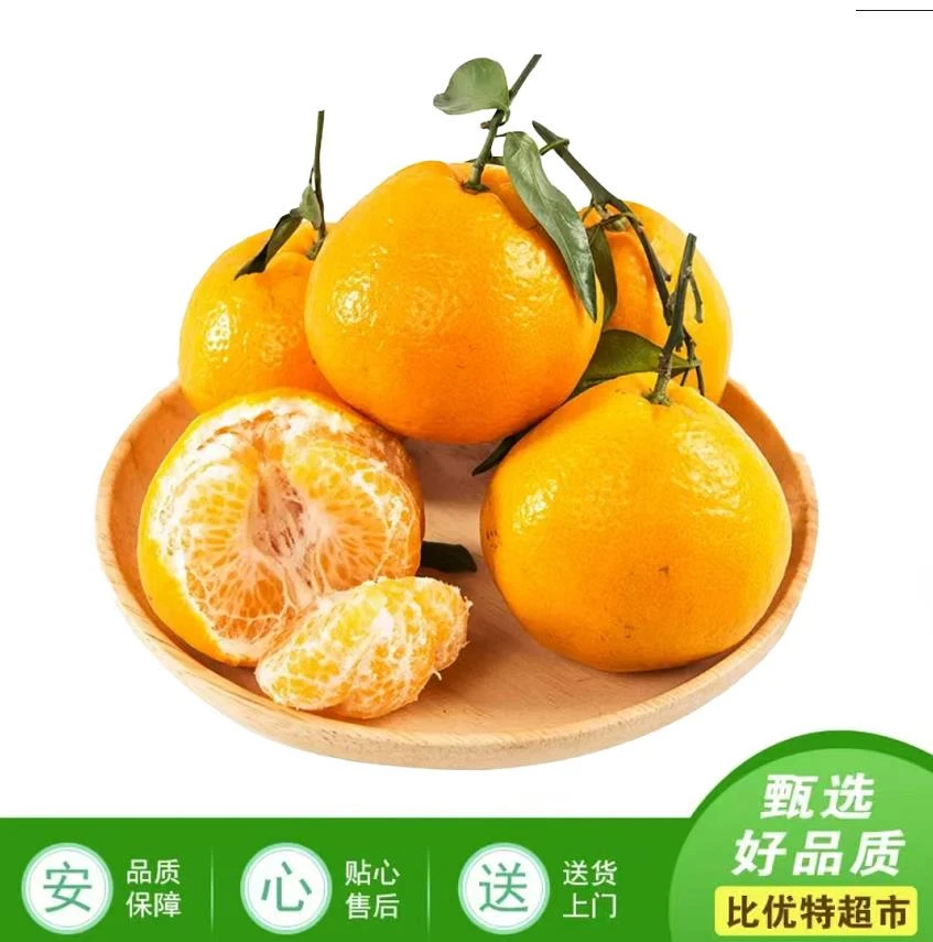 耙耙柑 ≥850g/份 （春见蜜橘）