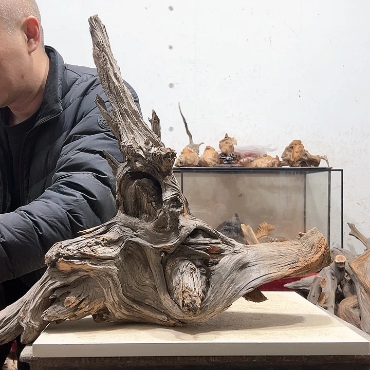 柏木木****店我们的生活也是如此的