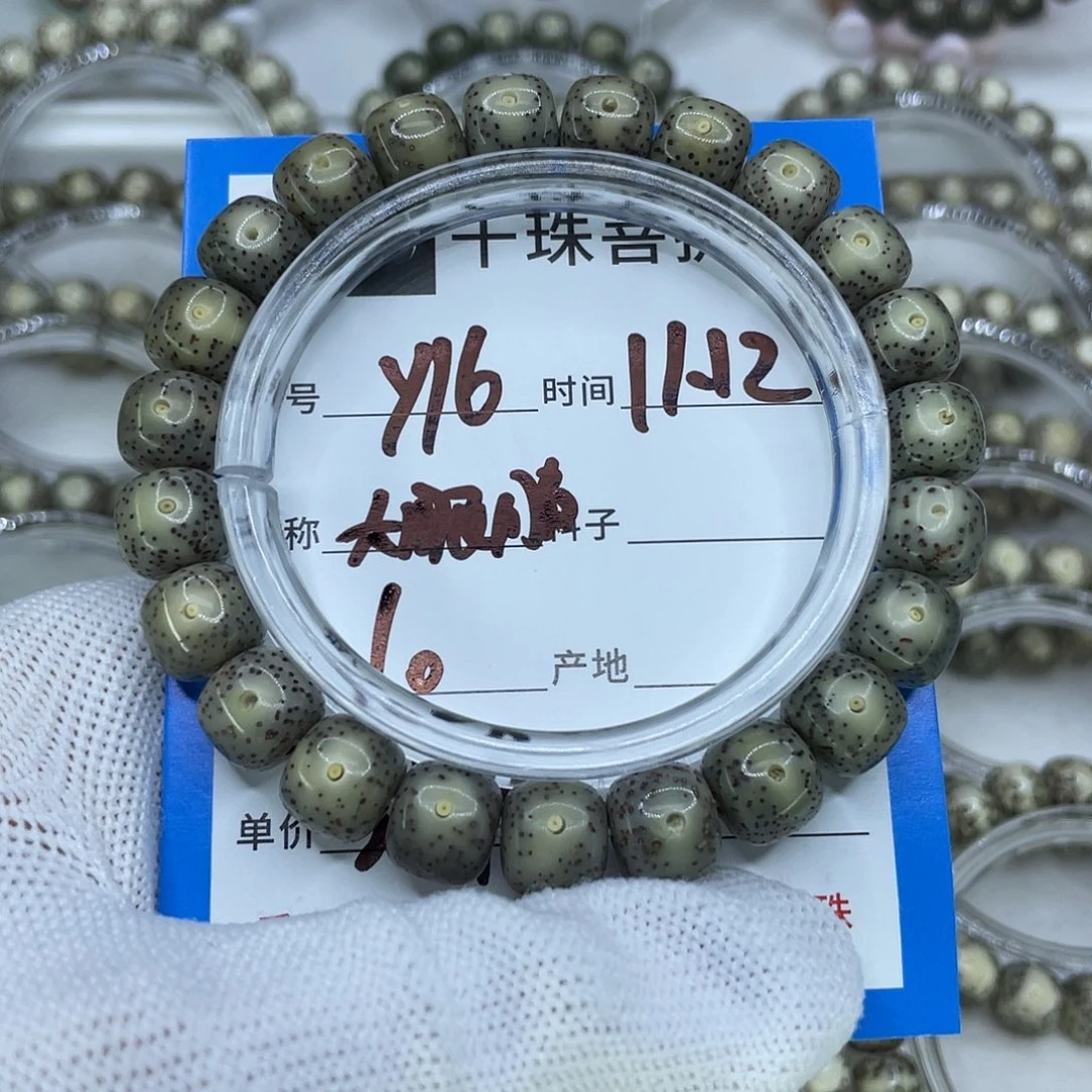 菩提籽类Y16大眼睛00