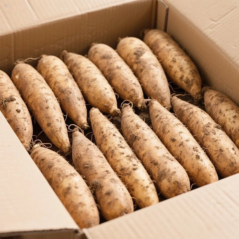 【爆甜】云南正宗天山雪莲果新鲜应季水果蔬菜整箱批发超甜