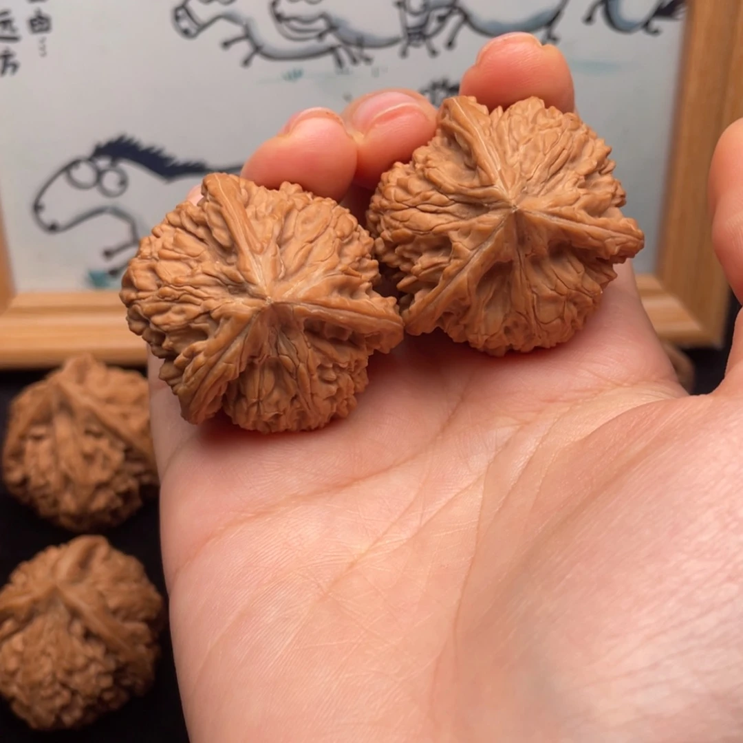 【闪购商品】文玩核桃把件38全品文山正奔（微瑕