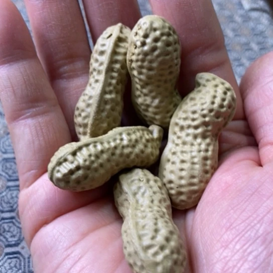 紫砂茶壶宜兴紫砂壶