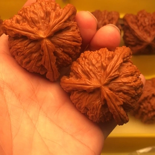 海***涛核桃核桃核桃核桃