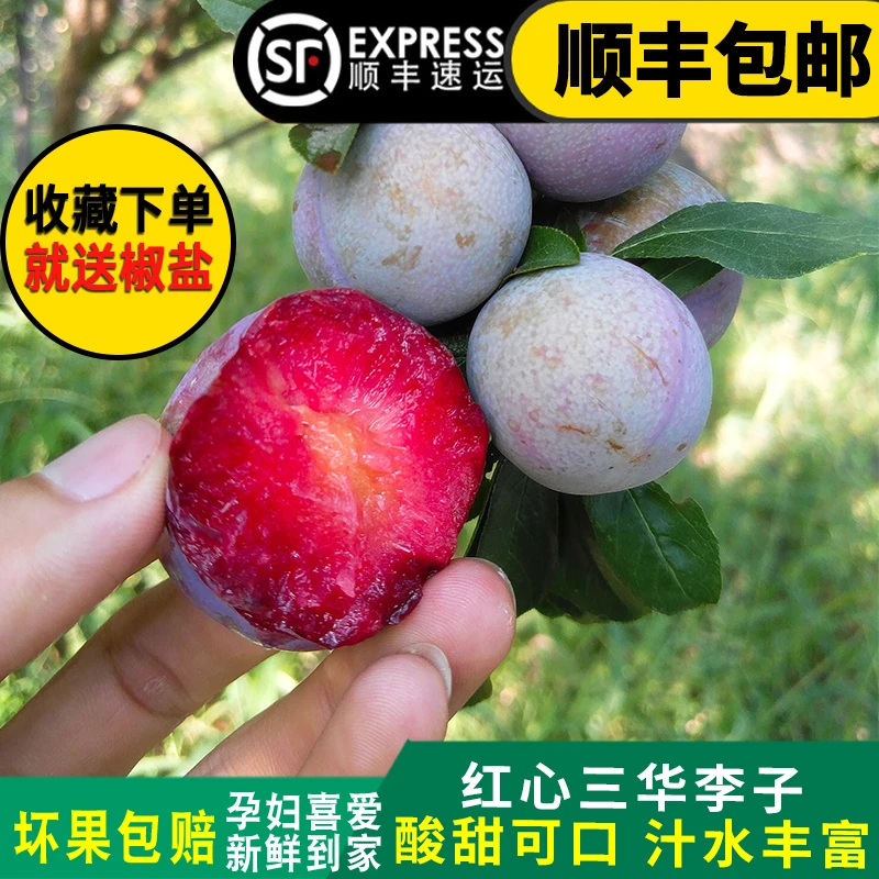 顺丰现摘现发新鲜三华李子 红心鸡血李 酸甜红李子新鲜孕妇水果