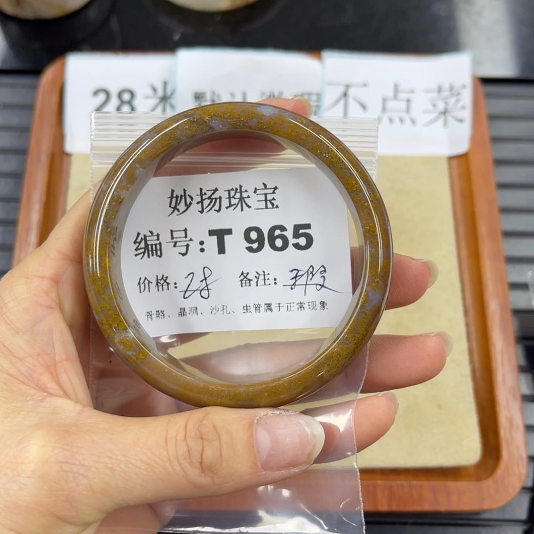 硅化珊瑚（珊瑚玉）瑕未镶嵌元*