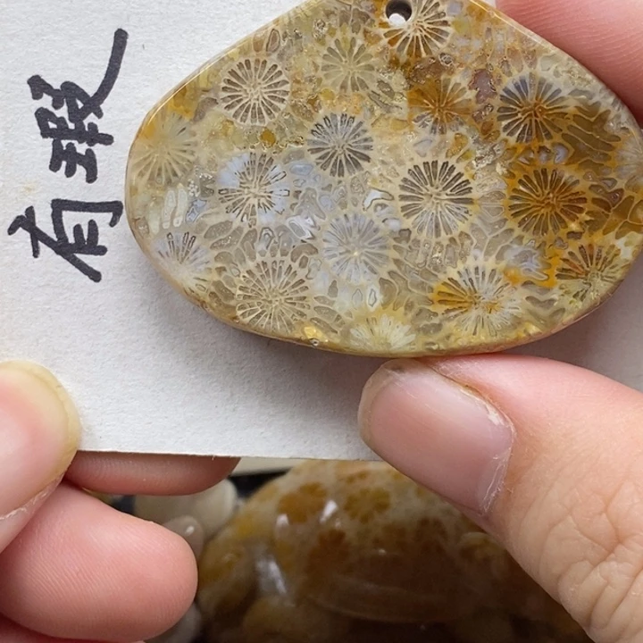 硅化珊瑚（珊瑚玉）未镶嵌颈饰