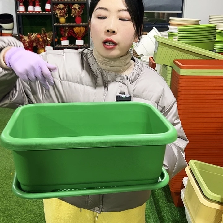 宽体小菜盆长38宽28高15混色3只带托