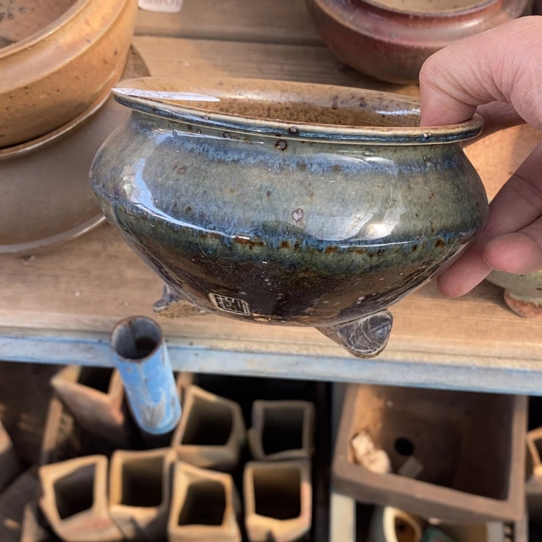 用***09号多肉盆口径11呀