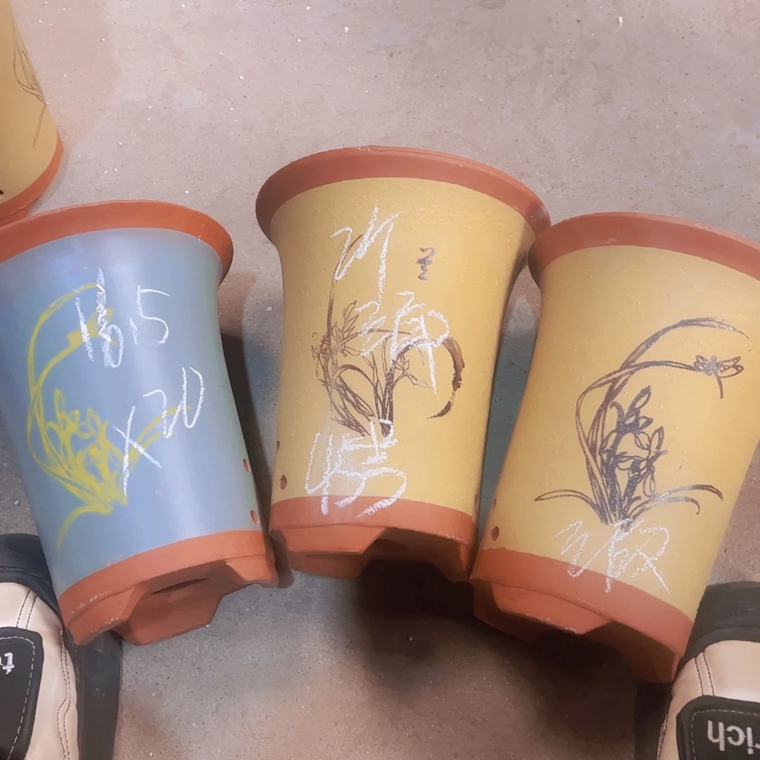 紫砂45………………………………