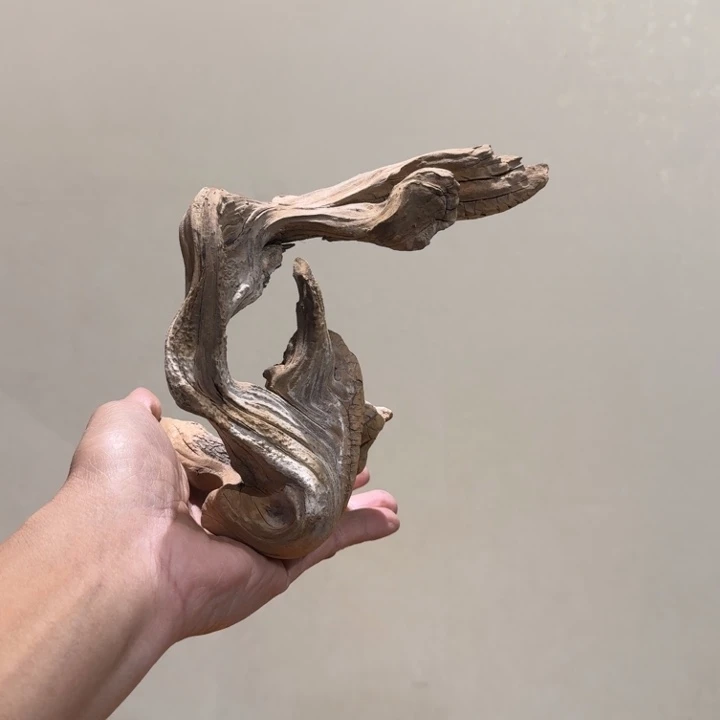 鸡翅木喜**旧崖柏阿啊阿