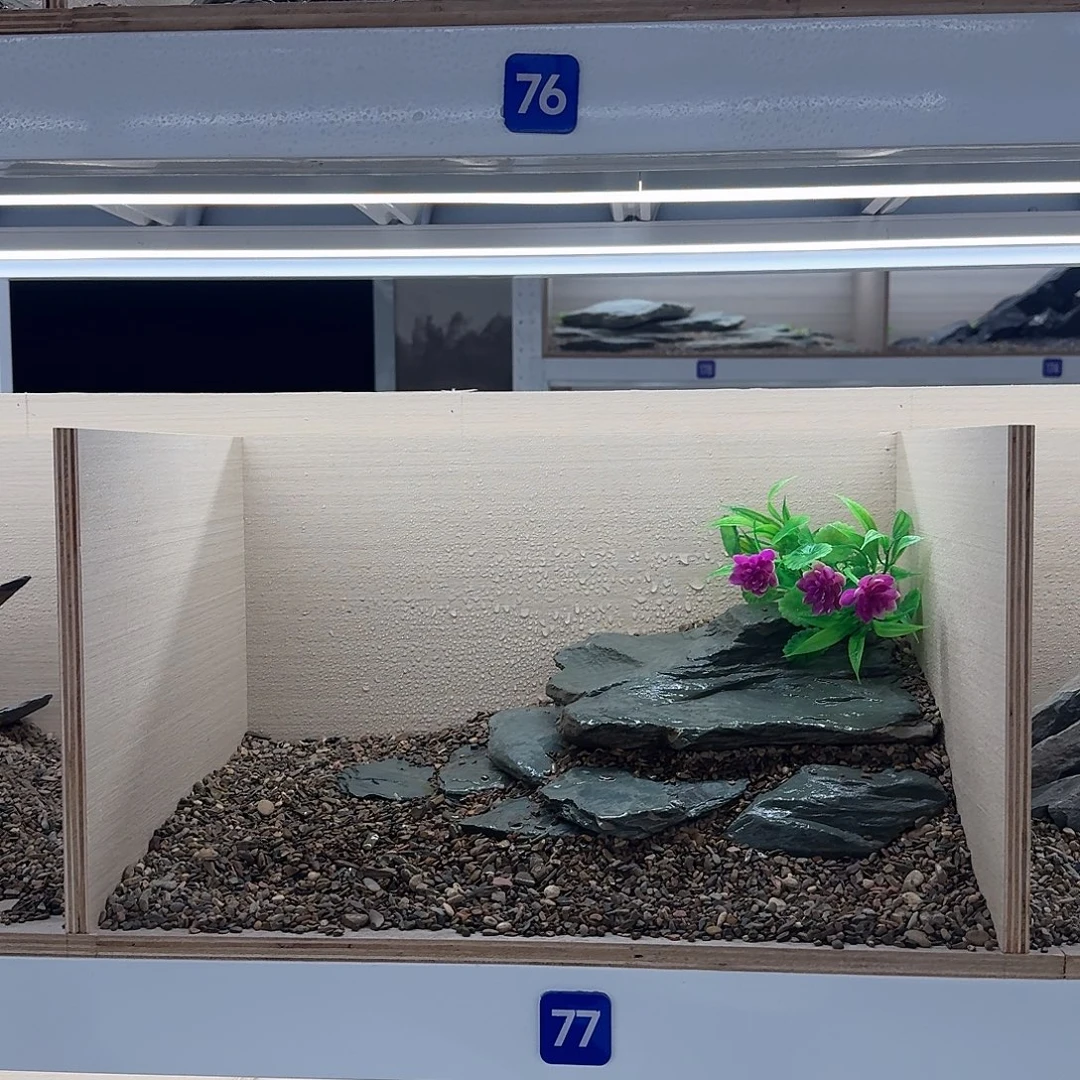 77号造景送十斤底沙1-4