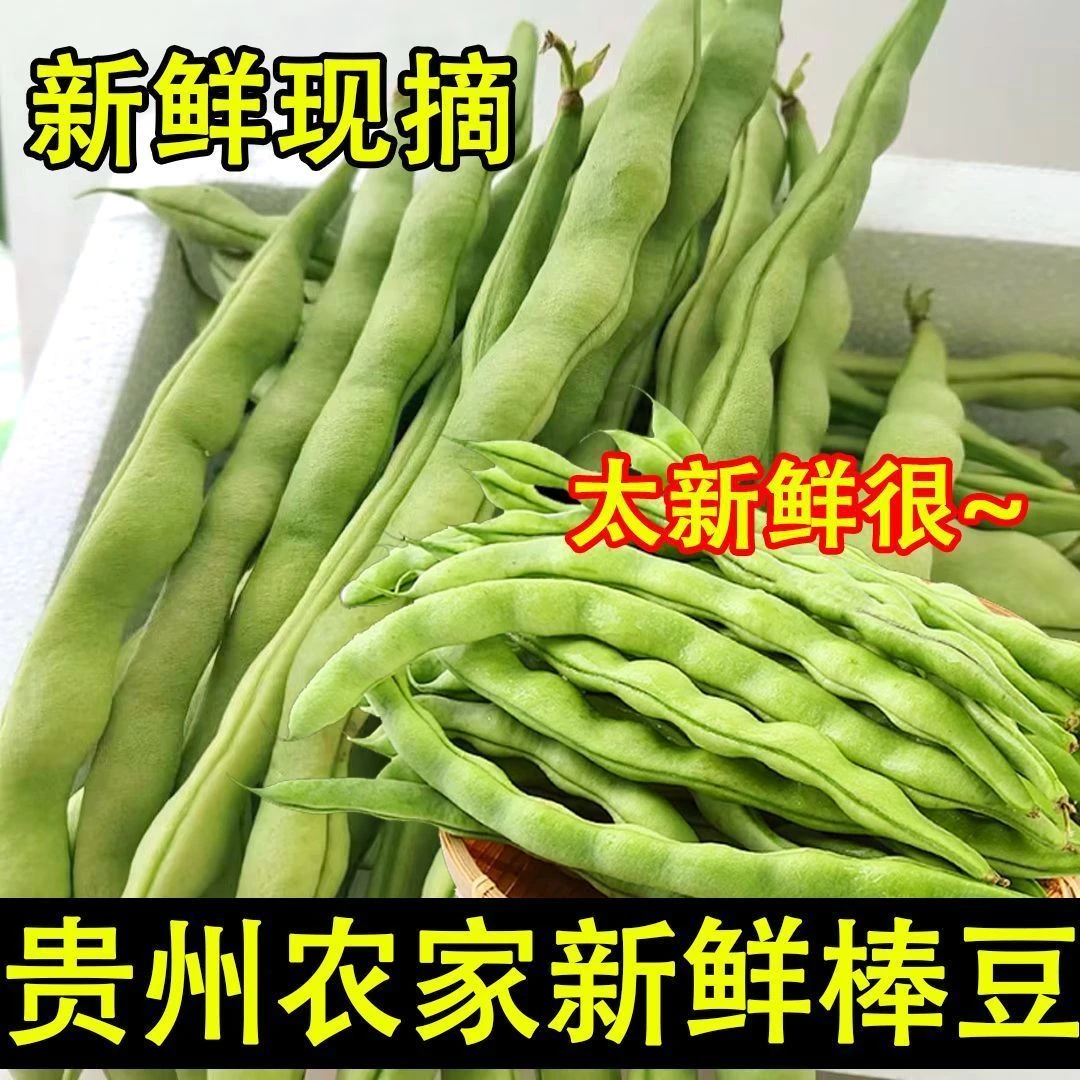 贵州农家新鲜棒豆四季豆芸豆豆角自种扁豆刀豆现摘蔬菜时令蔬菜