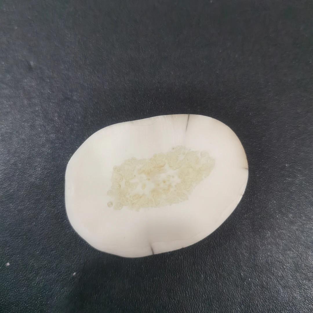 猛犸虬饼子kk860