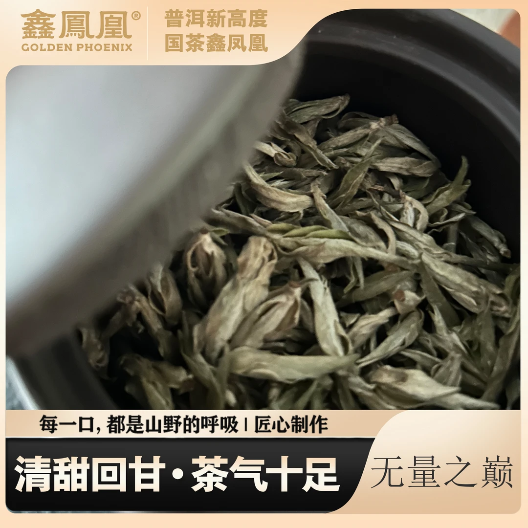 2025年千年野生古树芽孢50g