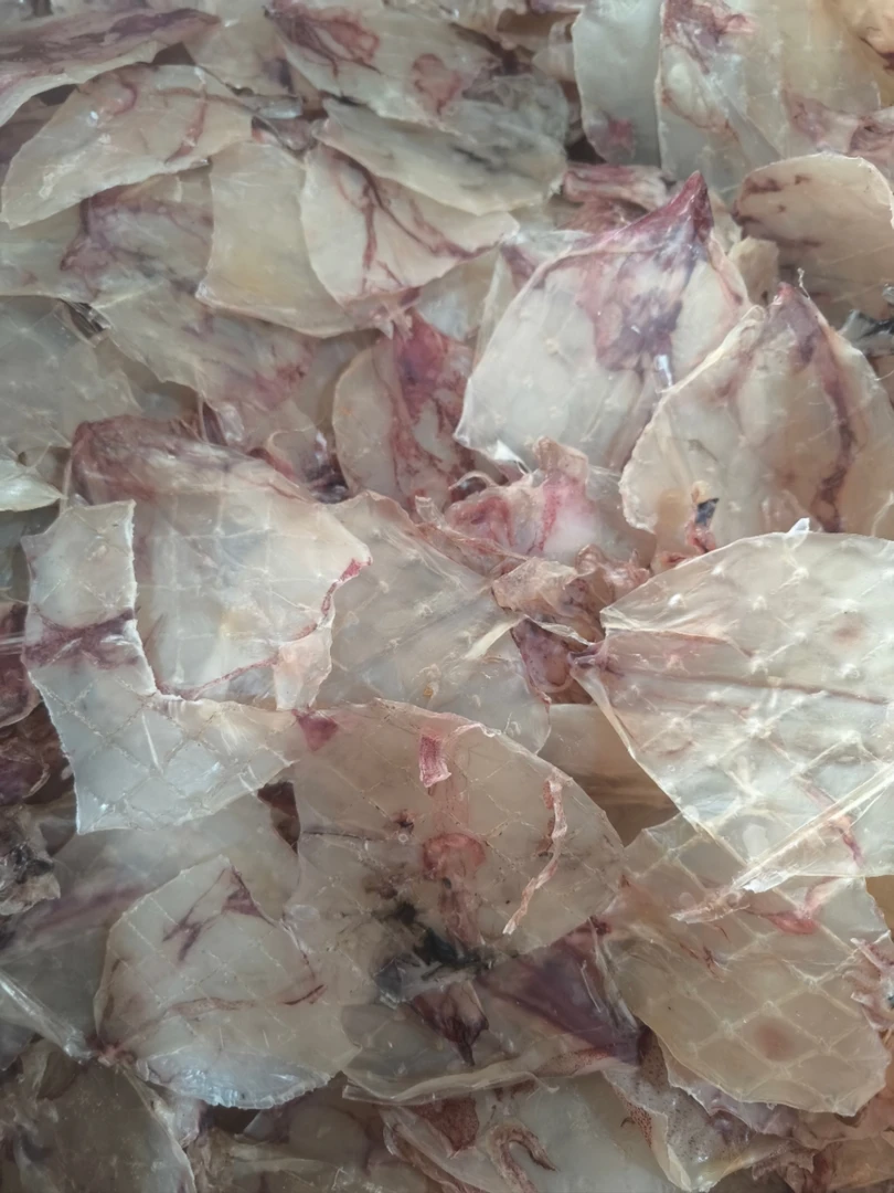 甲子本港淡干淡晒大片