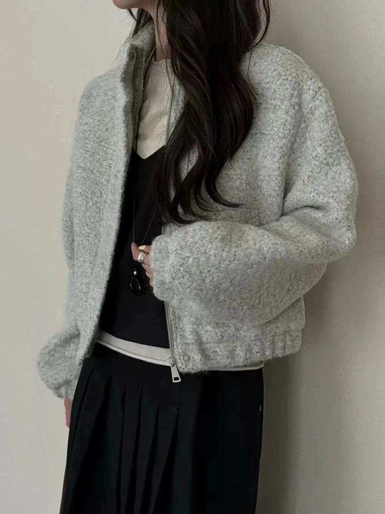 保暖短款立领短外套ins百搭冬季韩版加厚羊羔