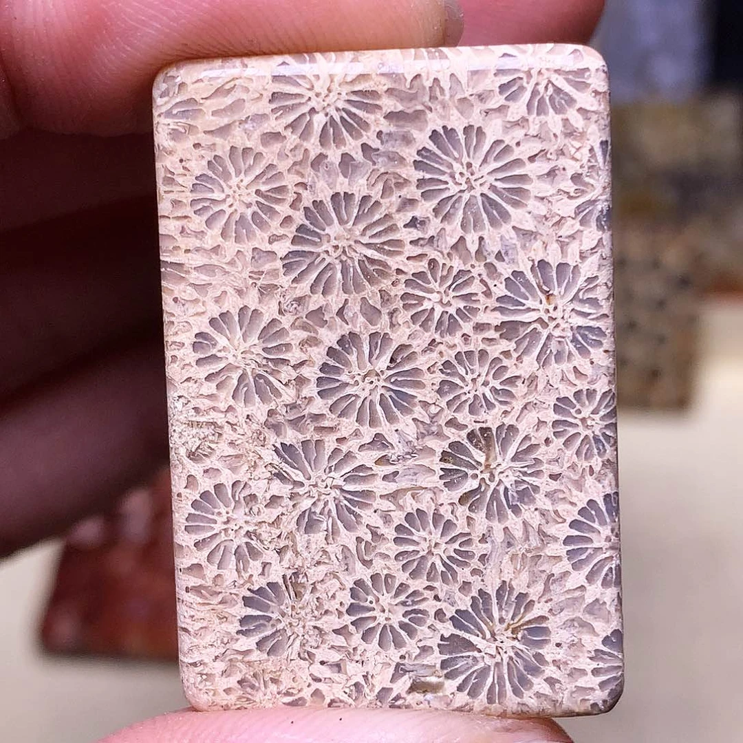 硅化玉珠宝奇石合金随**留