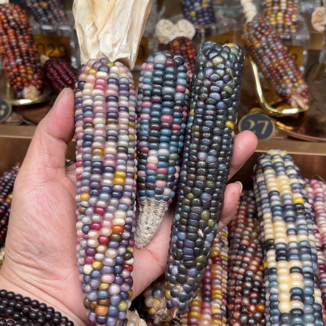 柏香籽/百香籽吊坠ʚ**星