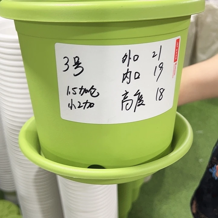 特价3号四季口21高18白色带托10只