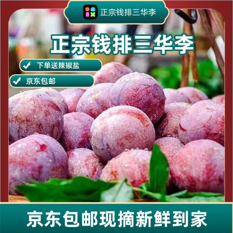 【现摘现发酸甜爽口】广东钱排三华李红心李孕妇水果京东包邮