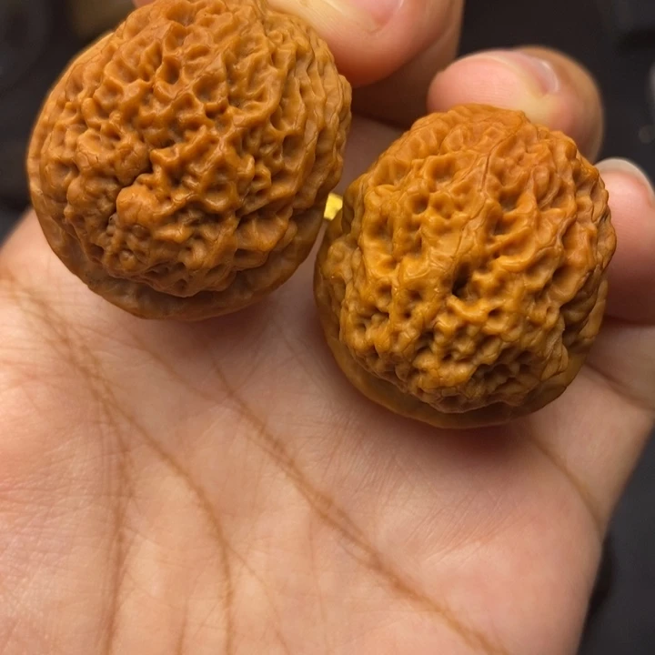 把件文玩核桃35尺蚂蚁元宝