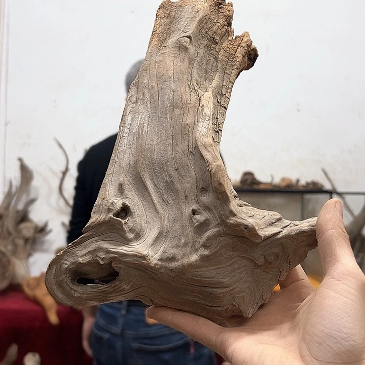 柏木八**财我们的生活也是如此的