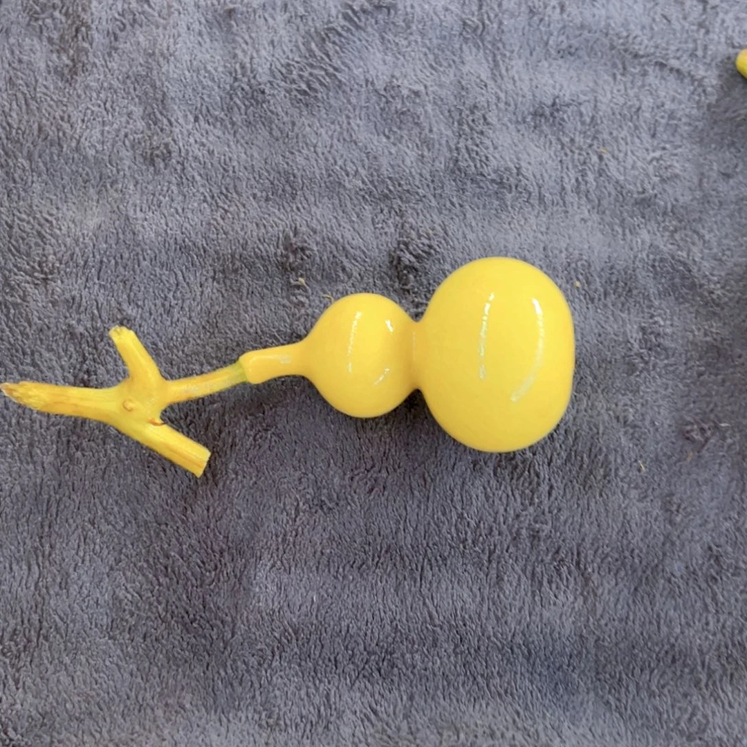 芊***颖天津嘴儿葫芦葫芦